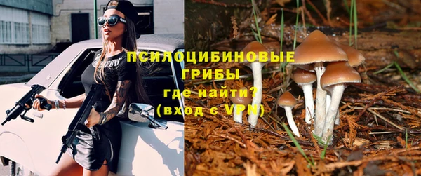 каннабис Вяземский