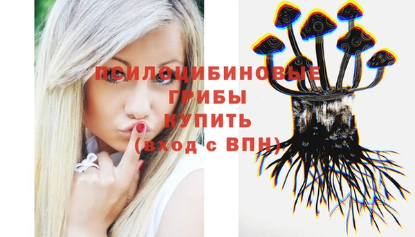 шишки Волоколамск