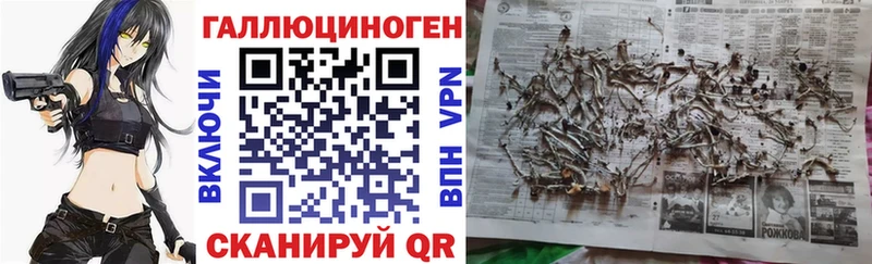 ссылка на мегу ссылки даркнет клад Галлюциногенные грибы прущие грибы Орск
